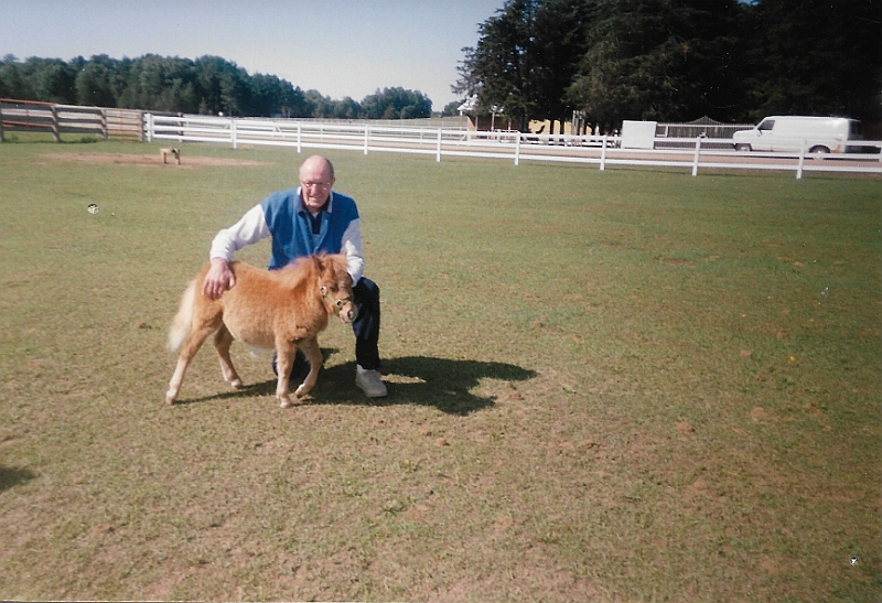 Ray Suring mini horses3.jpeg